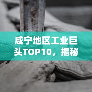 咸宁地区工业巨头TOP10，揭秘排名前十企业的风采