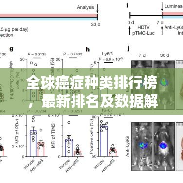 全球癌症种类排行榜，最新排名及数据解析
