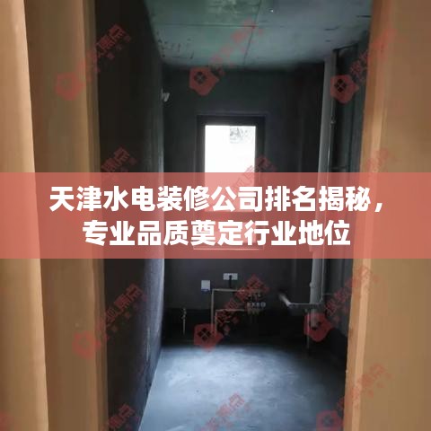 云龙井蛙