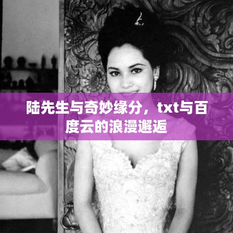 陆先生与奇妙缘分，txt与百度云的浪漫邂逅
