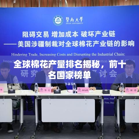 全球棉花产量排名揭秘，前十名国家榜单