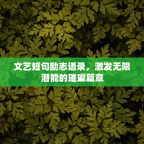 关于我们 第17页
