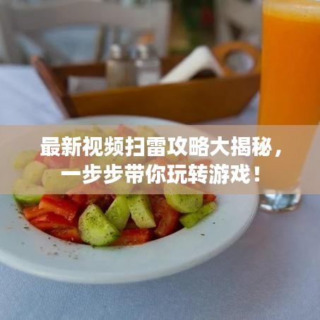 最新视频扫雷攻略大揭秘，一步步带你玩转游戏！