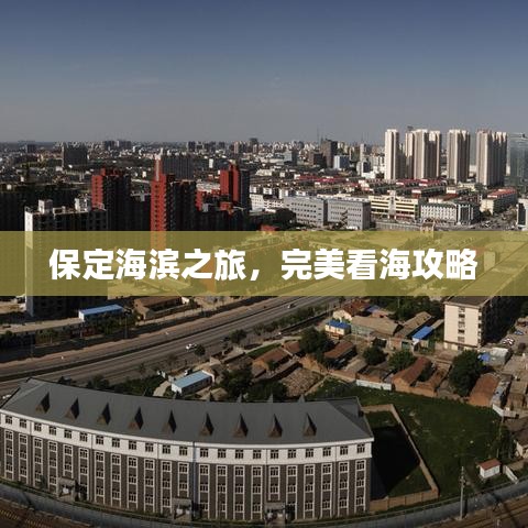 案例展示 第16页