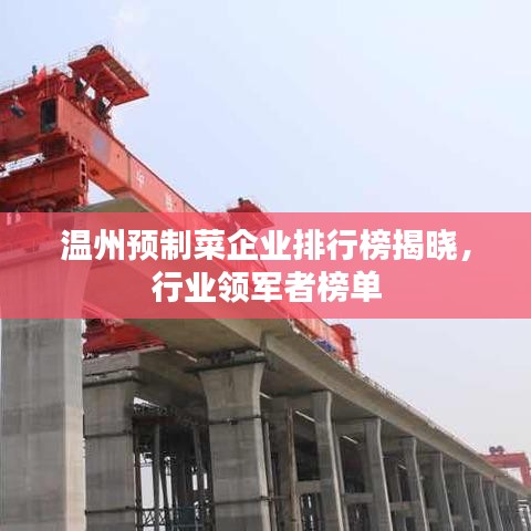 温州预制菜企业排行榜揭晓，行业领军者榜单