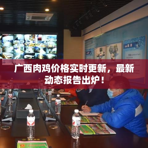 广西肉鸡价格实时更新，最新动态报告出炉！