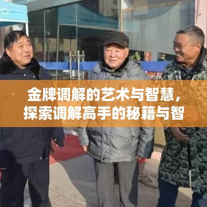 金牌调解的艺术与智慧，探索调解高手的秘籍与智慧