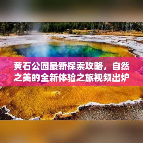黄石公园最新探索攻略，自然之美的全新体验之旅视频出炉！
