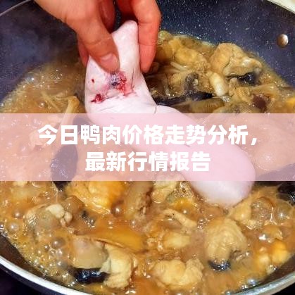 今日鸭肉价格走势分析，最新行情报告