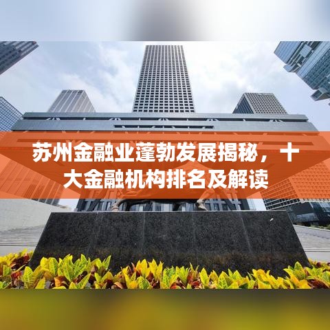 苏州金融业蓬勃发展揭秘，十大金融机构排名及解读