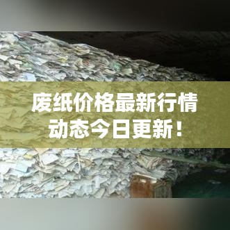 废纸价格最新行情动态今日更新！