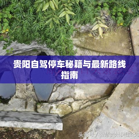 井蛙之见