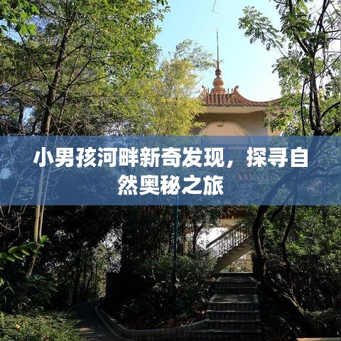 束装就道