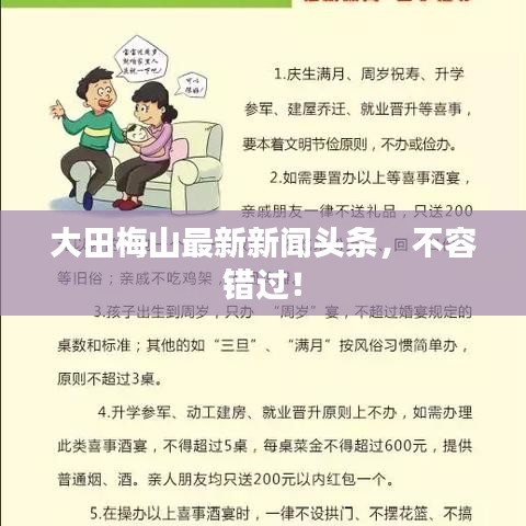 大田梅山最新新闻头条，不容错过！