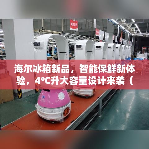 海尔冰箱新品，智能保鲜新体验，4℃升大容量设计来袭（2024年新款）