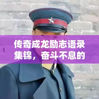 一花独放