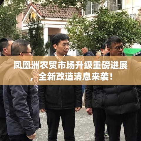 凤凰洲农贸市场升级重磅进展，全新改造消息来袭！
