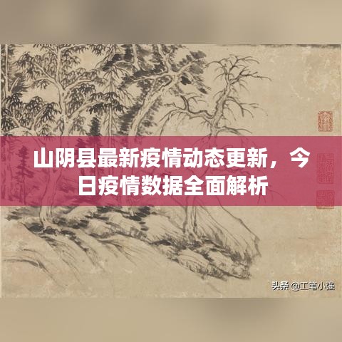 山阴县最新疫情动态更新，今日疫情数据全面解析
