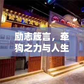 励志箴言，牵狗之力与人生步伐同行