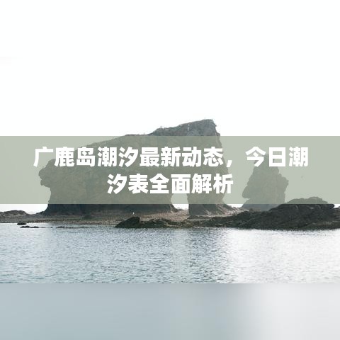 广鹿岛潮汐最新动态，今日潮汐表全面解析