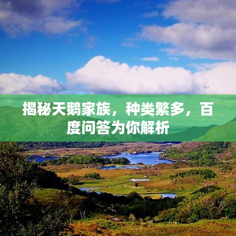 揭秘天鹅家族，种类繁多，百度问答为你解析