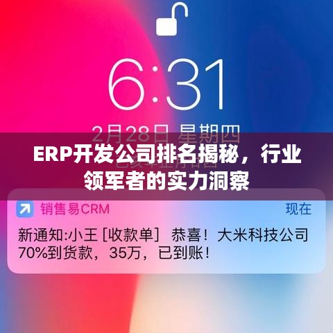 ERP开发公司排名揭秘，行业领军者的实力洞察