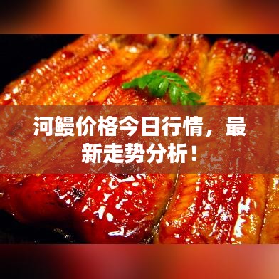 河鳗价格今日行情，最新走势分析！