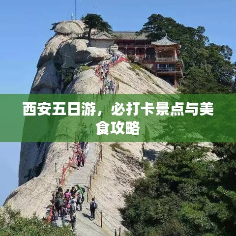 轻徙鸟举