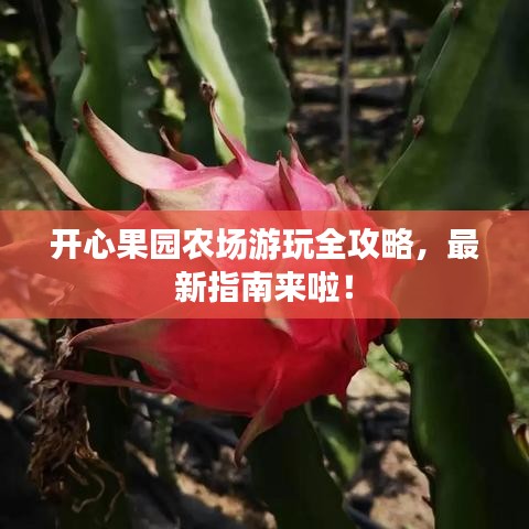 开心果园农场游玩全攻略，最新指南来啦！