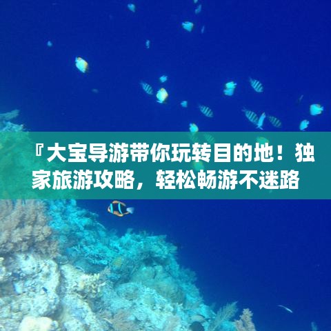 『大宝导游带你玩转目的地！独家旅游攻略，轻松畅游不迷路』