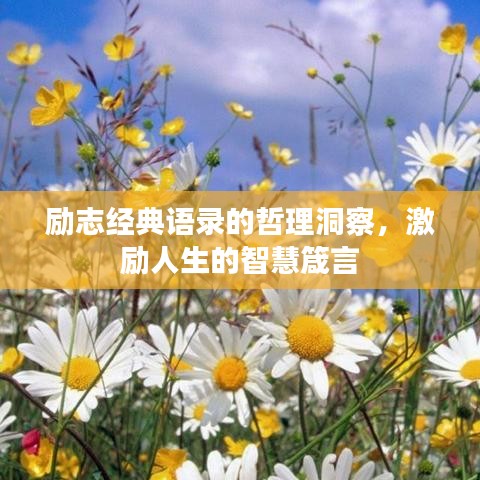 励志经典语录的哲理洞察，激励人生的智慧箴言