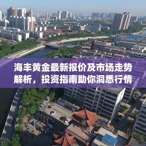 海丰黄金最新报价及市场走势解析，投资指南助你洞悉行情！