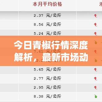 今日青椒行情深度解析，最新市场动态一网打尽！