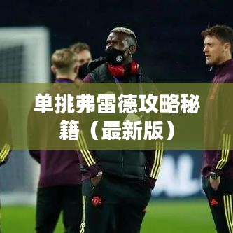 单挑弗雷德攻略秘籍（最新版）