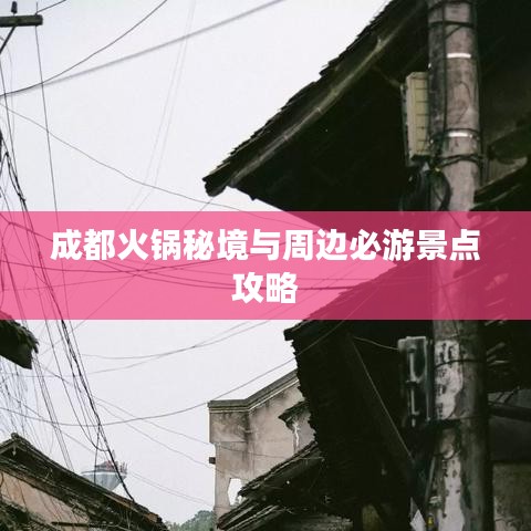 质而不俚