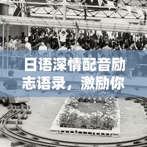 包装设计 第9页