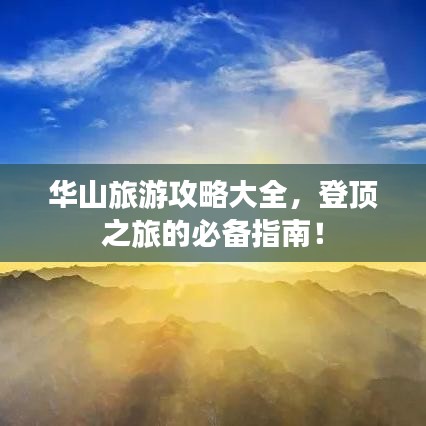 飞箭如蝗