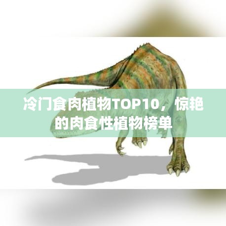 关于我们 第7页