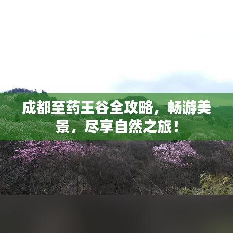 成都至药王谷全攻略，畅游美景，尽享自然之旅！