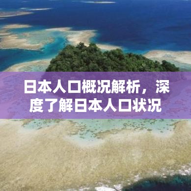 日本人口概况解析，深度了解日本人口状况