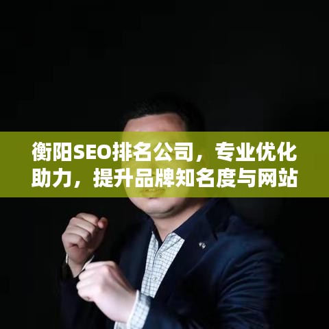 衡阳SEO排名公司，专业优化助力，提升品牌知名度与网站排名