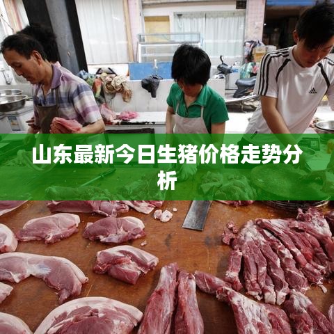 结构设计 第7页