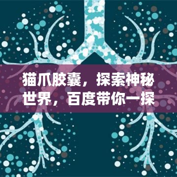 猫爪胶囊，探索神秘世界，百度带你一探究竟！