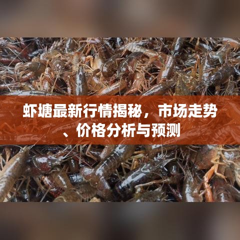 包装设计 第7页