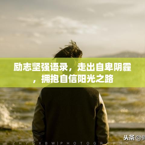 励志坚强语录，走出自卑阴霾，拥抱自信阳光之路