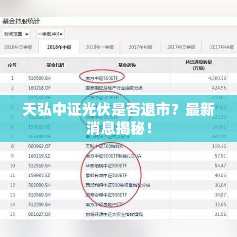 2025年5月1日 第5页