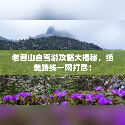 老君山自驾游攻略大揭秘，绝美路线一网打尽！