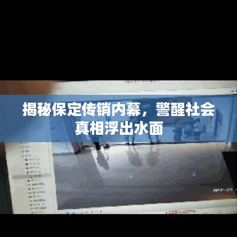 揭秘保定传销内幕，警醒社会真相浮出水面