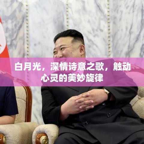 白月光，深情诗意之歌，触动心灵的美妙旋律