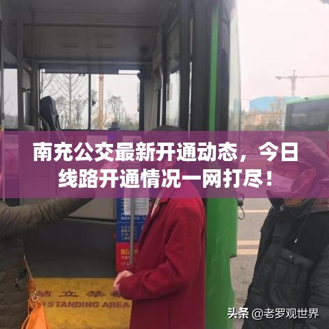 南充公交最新开通动态，今日线路开通情况一网打尽！